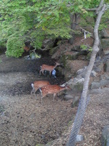 Image033