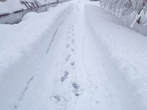 雪道1