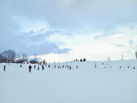 国営公園 雪原1