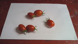 NEC_0154