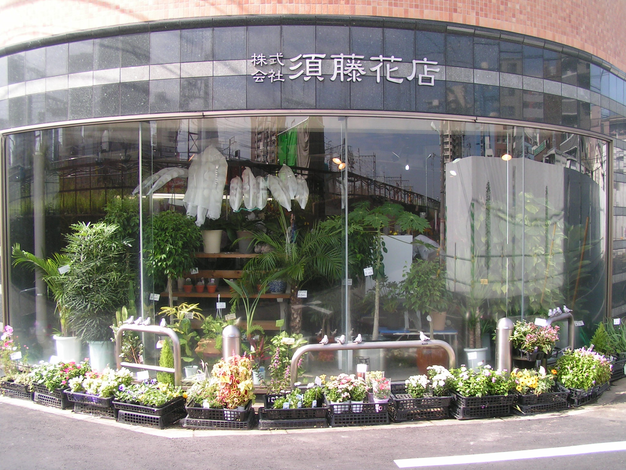 お花屋 須藤花店 葛飾区 新小岩下町物語
