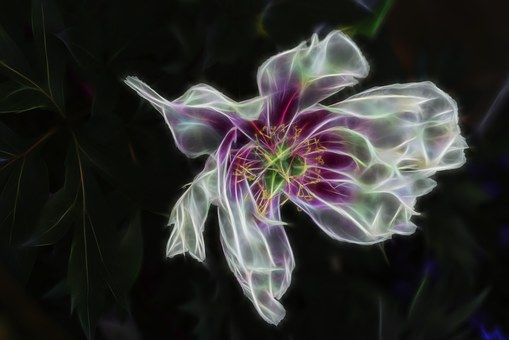 digital-796740__340