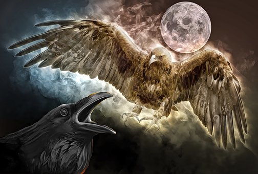 eagle-3916837__340