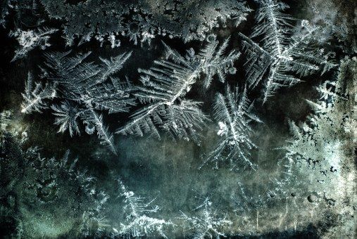 ice-flowers-76578__340