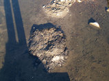 b382e69b.jpg
