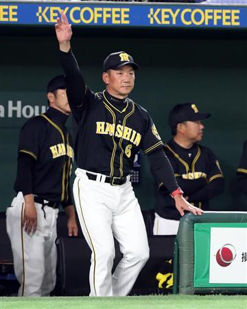 kanemoto