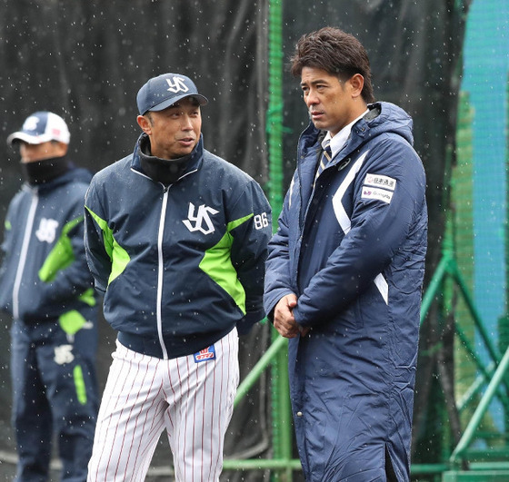 miyamoto