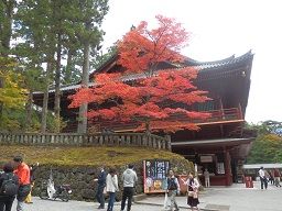 PA285109
