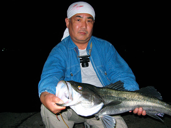 シバスと私