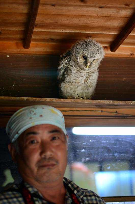 80ふくろうの赤ちゃんと私DSC_0972