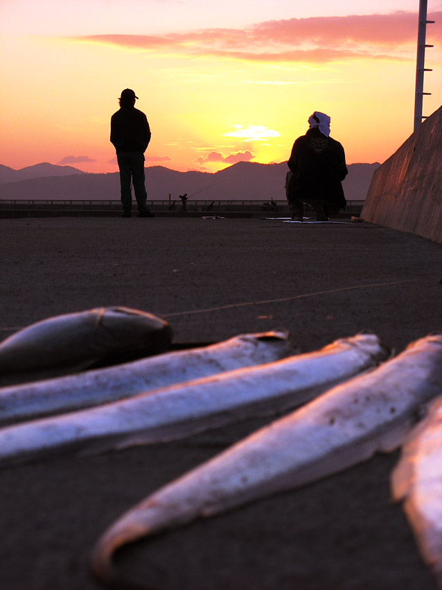 いずやんと謎釣師