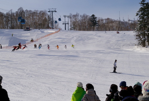 IMGP7973 ������