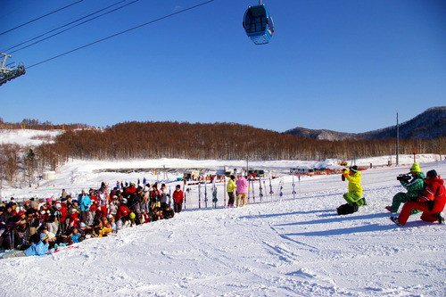 IMGP8050 ������