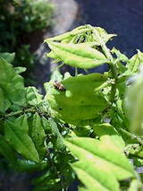 eceb6706.jpg