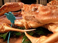 863a2832.jpg