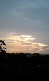 b1f76805.jpg
