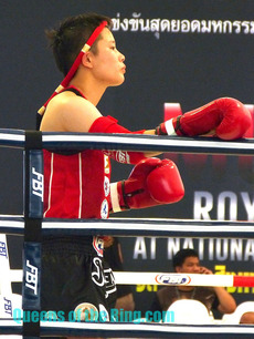 Wang Mengjing