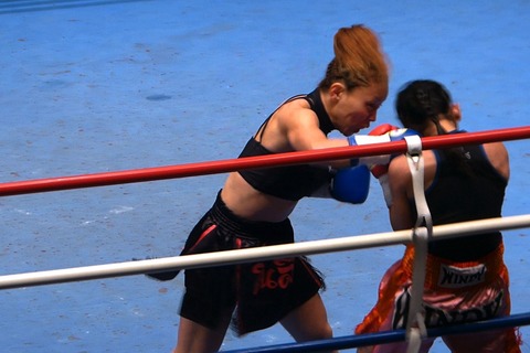 つのだのりこ vs ペッチサイルーン