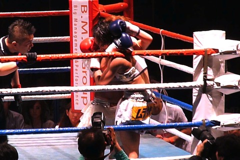 Little Tiger vs ÈÓÅĤʤª