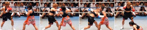 »³¸ýľ»Ò vs ¥Ú¥Ã¥È¥µ¥¤¥ë¡¼¥ó