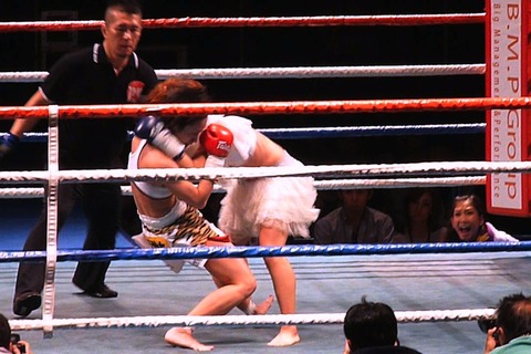 Little Tiger vs ÈÓÅĤʤª