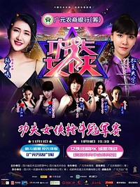 功夫女侠