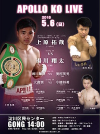 APOLLO KO LIVE