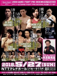 SANEI FIGHT PROBOXING