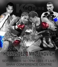 KO-Boxing