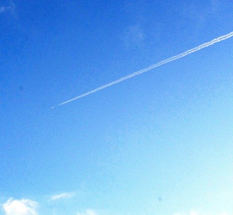 a1620_000880_m