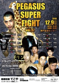 PEGASUS SUPER FIGHT VOL.57