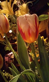 10c786b9.jpg