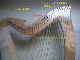 22e08684.jpg