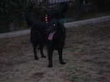 run2