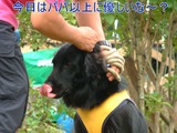 FEST3