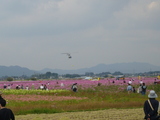 kosumosu1