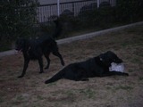 run4