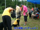 FEST4