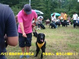 FEST6