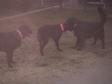 run3