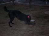 run1