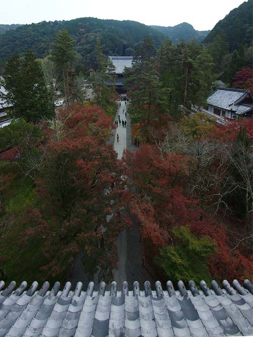 P1015343
