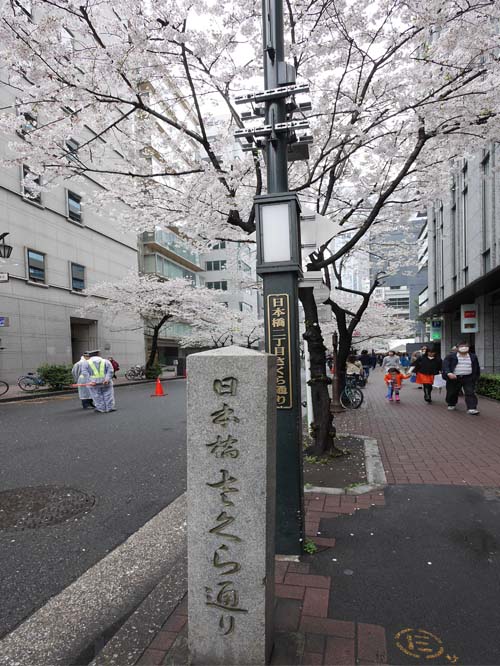 P1010250