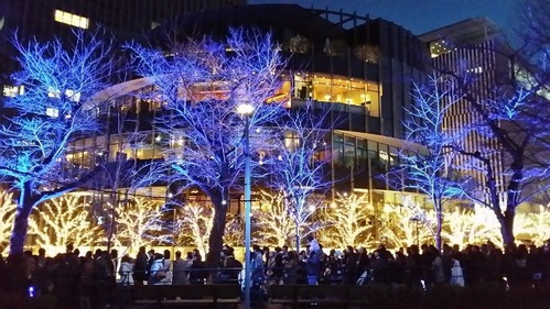 写真 2013-12-21 17 07 34