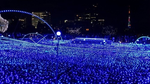 写真 2013-12-21 17 24 35