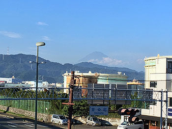 IMG_0593