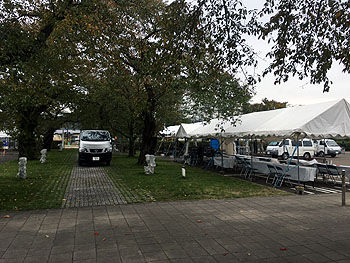IMG_8035