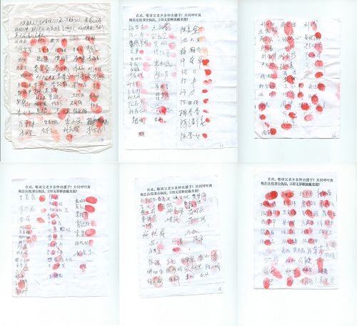 2013-11-24-minghui-daimeixia-hubei-sig