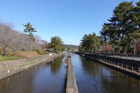 DSC00459