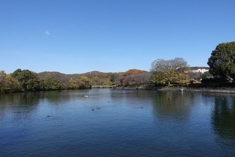DSC00449